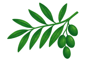 Naklejka premium Green olives hanging on hand-drawn olive branch, botanical artwork with transparent backdrop
