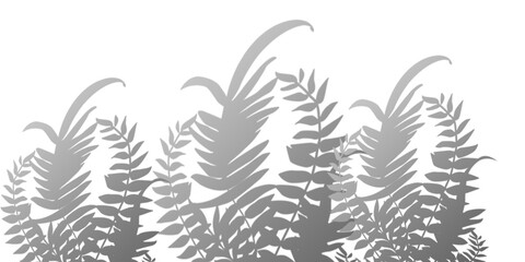 Monochrome Botanical Illustration  Nature Design for Print