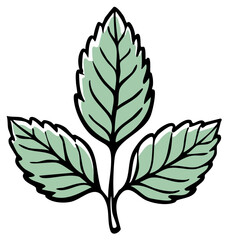 Stylized illustration of a mint sprig with three green leaves and black outlines
