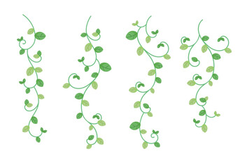 Curved green vines with fresh leaves collection curly green vines set © Nicole Lucida