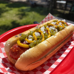 Close-Up of Classic Hot Dog with Mustard, Relish, and Onions