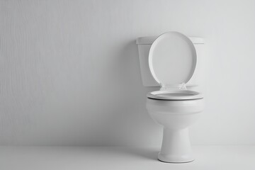 A pristine, white toilet with an open seat stands against a textured wall, bathed in soft, natural light