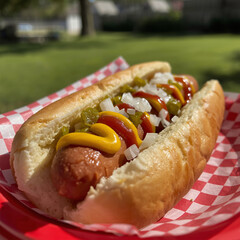 Tasty Hot Dog with Mustard and Relish on Picnic Table