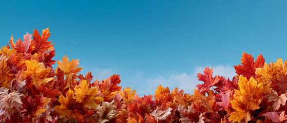 Autumn Leaves Border against Blue Sky, Seasonal Banner with Copy Space