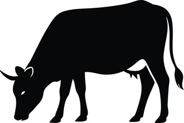 Obraz premium Golden orb and spiral energy field abstract on a deep black background transparent background