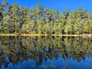 Lake