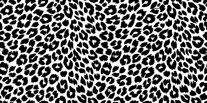 Classic black and white leopard print pattern