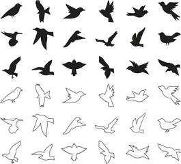 Bird silhouette flat and outline icons set, flying bird shapes, sparrow pigeon dove crow hummingbird seagull black vectors, nature wildlife illustration symbols isolated on transparent background.