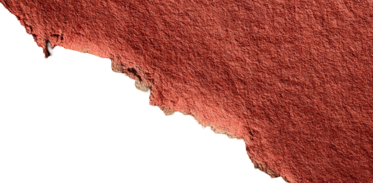 Rough, reddish-brown textured area with a jagged, outlined edge against a black background