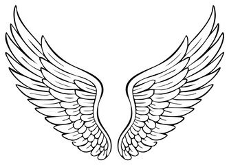 Obraz premium Stylized Angel Wings Line Art Illustration