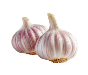Two whole heads of garlic, close-up.  Fresh, vibrant, and in focus against a pure black background.  Distinct pink-purple stripes encircle the bulbs.  Rounded, bulbous shapes, tops pointed.  