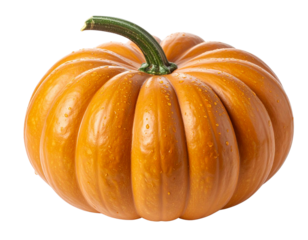  Angled Side View of Fresh Pumpkin with Water Droplets and Short Stem, Isolated on White Background PNG