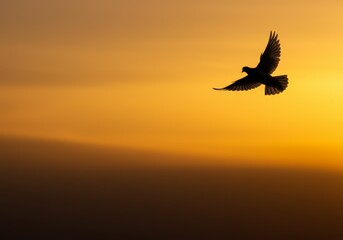 Fototapeta premium Conceptual Image of a Bird's Silhouette at Sunset