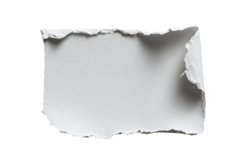 A ripped, white rectangular piece of paper, slightly textured, with irregular edges