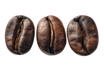 Close-up of three roasted coffee beans (1)