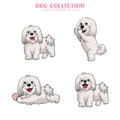 Cute Maltese dogs vector set Collection of hand drawn kawaii style in illustration