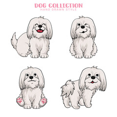 Cute Maltese dogs vector set Collection of hand drawn kawaii style in illustration