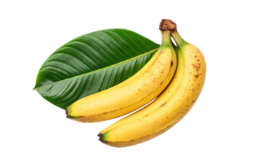 Fresh yellow bananas with green leaf, showing natural spotting and brown stem ends, isolated on a transparent background