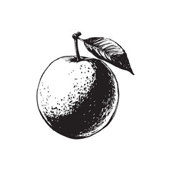 Nectarine Vector (4).eps