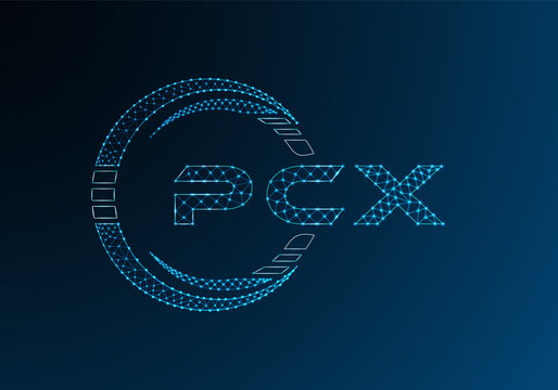 PCX low poly letter logo vector design. PCX lower poly logo design. Low poly logo.