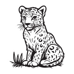 Obraz premium A black and white silhouette vector illustration of a leopard, isolated on a white background.