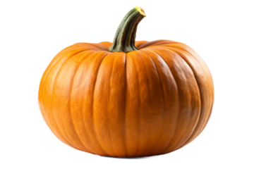 Uncarved orange pumpkin isolated on a plain background ready for fall decor halloween autumn transparent background