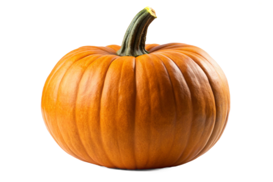Uncarved orange pumpkin isolated on a plain background ready for fall decor halloween autumn transparent background