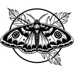 butterfly silhouette vector