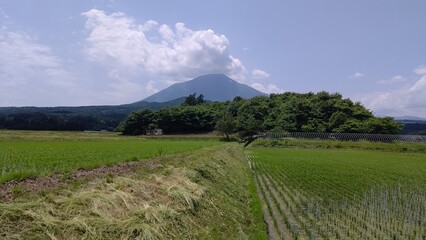 草刈りが必要な農地