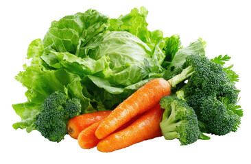 Fresh vegetables lettuce, carrots, and broccoli