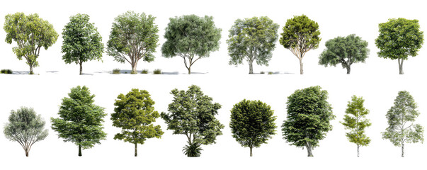 Collection of various trees, likely digital renderings.  Different shapes and shades of green foliage.  Rows of  isolated trees