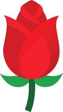 Elegant red rosebud vector illustration isolated on white for romantic designs transparent background
