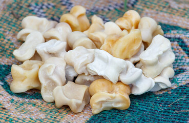 Animal bones are laid out on a tablecloth.
