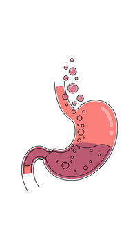 Understanding the digestive process and the role of stomach acid in breaking down food substances