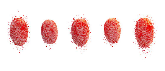 Pack Collection Vibrant Red Raspberries A CloseUp Culinary Delight set against transparent background