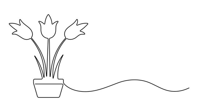 Animated one continuous single-line drawing of a beautiful gardening flower tob with orchid flowers, Self drawing line animation House flower plant in pot continuous one single line drawn concept pro.
