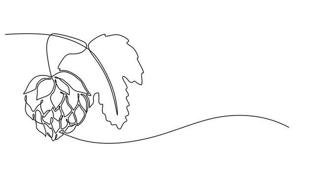 Hop herb and spikelet animation continuous one line drawing, Essential restaurant bar icon hops concept thin line style - editable stroke, Full length one line animation. 4K, isolate on white backgrou