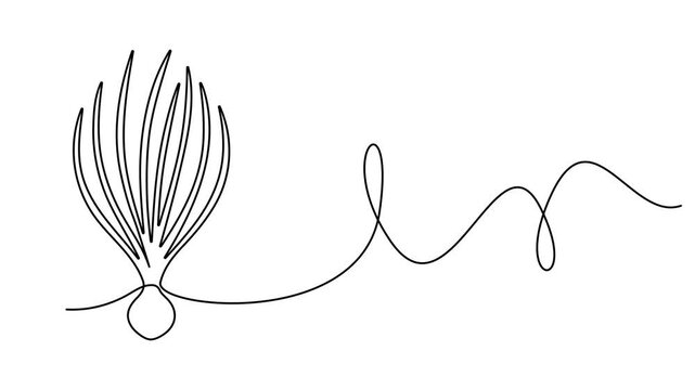 onion stalk animation continuous one line drawing, Leeks, fresh onion stalk illustration, background. One line drawing art illustration with lettering organic leeks, Fresh ingredient concept for veget