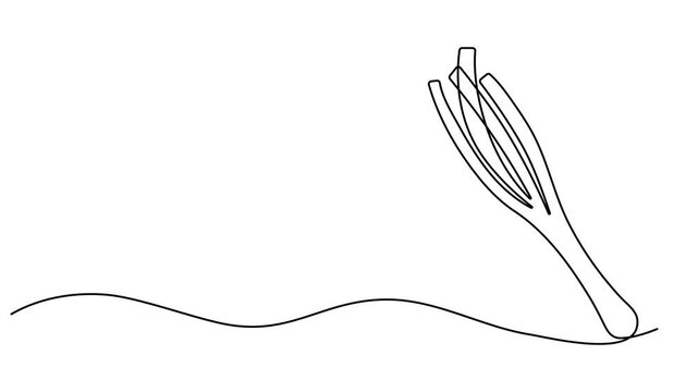 onion stalk animation continuous one line drawing, Leeks, fresh onion stalk illustration, background. One line drawing art illustration with lettering organic leeks, Fresh ingredient concept for veget