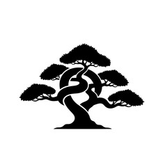 palm tree silhouette