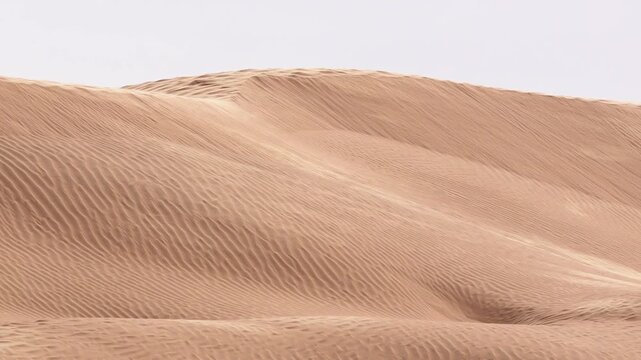 Wind sweeping across desert dunes in Tunisia Sahara creating ripples and textures in the golden sand a natural scene capturing the raw beauty power and silence of the desert shaped by elements