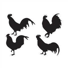 Fototapeta premium cock and hen