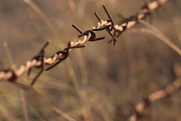 Barbed wire closeup. Selective focus. Copy space.