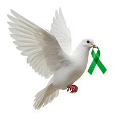 Fototapeta premium White Dove Carrying a Green Ribbon: Symbol of Hope and Peace