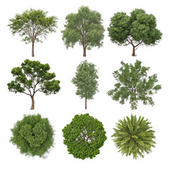 Fototapeta premium Collection of tree plan tree top view with transparent background set of tree PNG top view trees collection transparent background PNG tree plan elevation view PNG isolated tree images PNG