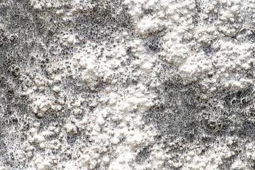 Rough cement wall with grunge texture, perfect for industrial, vintage, and raw design backgrounds.