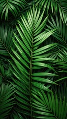 Lush, dark green palm fronds create a vibrant jungle texture. One frond is vertically oriented, making an inviting and natural background