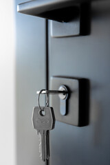 Key in lock. Black hardware. Minimal door.