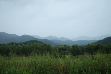 Misty morning over a green mountain landscape with clouds covering the rolling hills and a dense forest below