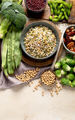 Asortment of plant based vegan protein products. Healthy eating.